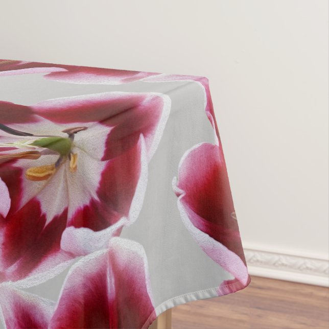 Nappe Tutelle rouge profonde (In Situ)