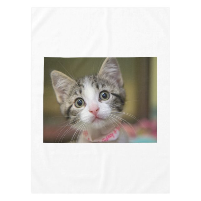 Nappe Un chaton mignon aux yeux verts (Devant)