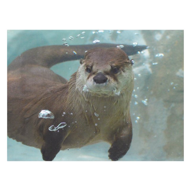 Nappe Une natation Brown mignonne de loutre dans une (Devant (Horizontal))