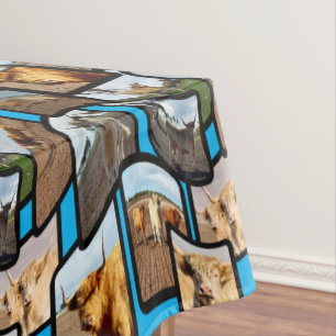 Nappe Vaches Highland Dans Un Montage D'Image,