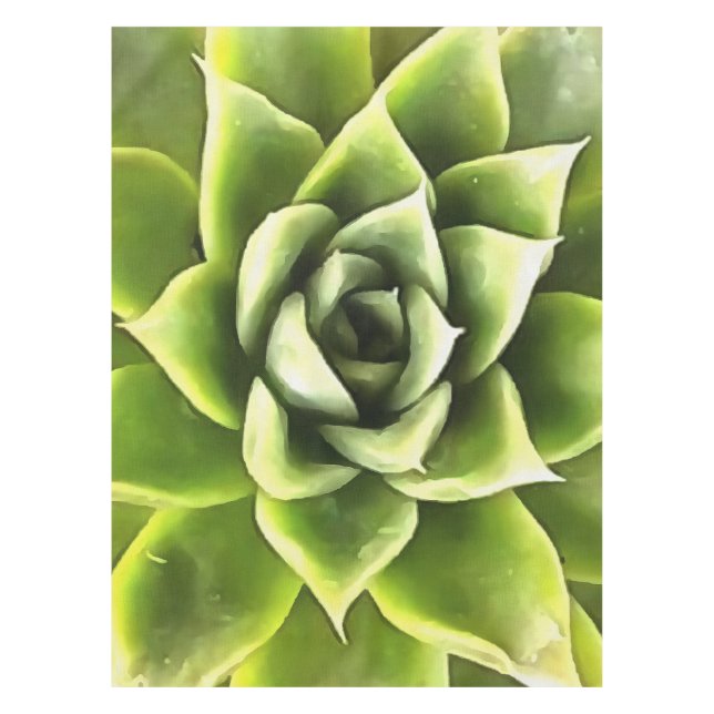 Nappe Vert Succulent Gros Plan Cactus (Devant)