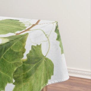 Nappe Vignoble de raisins Ile grecque méditerranéenne