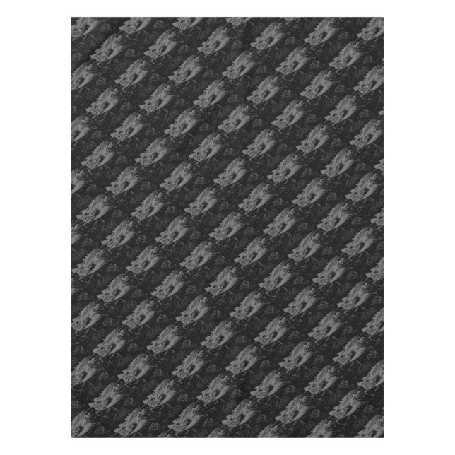 Nappe Virgo Constellation Hevelius 1690 (Devant)