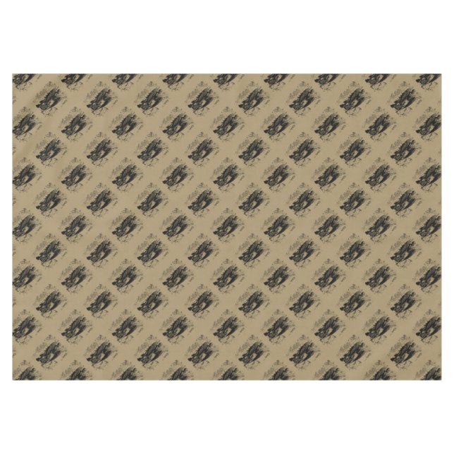 Nappe Virgo Constellation Hevelius 1690 23 août - 22 sep (Devant (Horizontal))