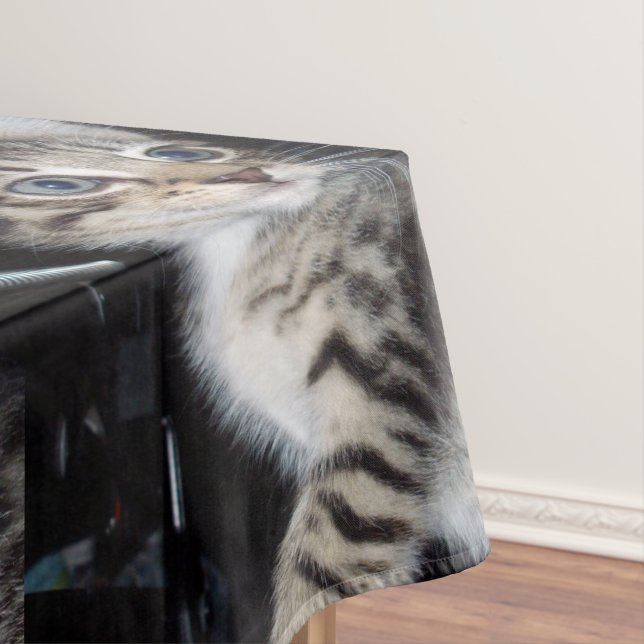 Nappe "Whiskers of Trouble : The Mischievous Tabby Kitte (In Situ)
