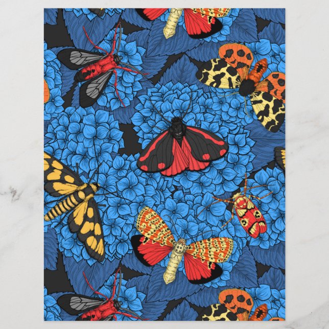 Nappes phréatiques bleu hydrangée (Devant)