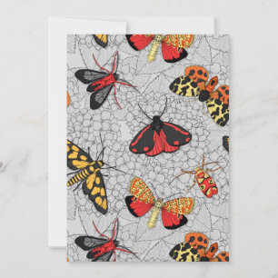 Nappes phréatiques sur l'hydrangée