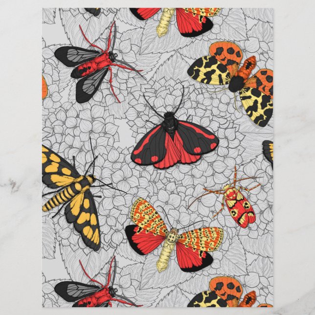 Nappes phréatiques sur l'hydrangée (Devant)