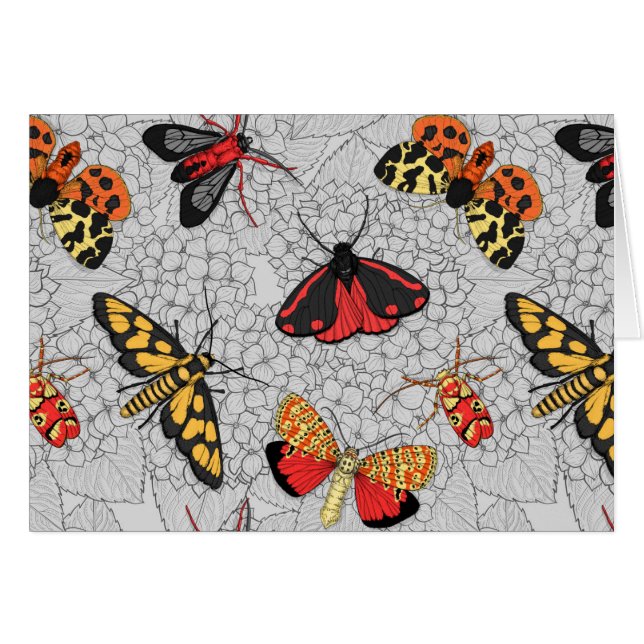 Nappes phréatiques sur l'hydrangée (Devant horizontal)