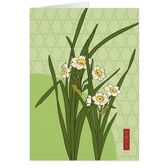Narcissus Bloom (Devant)