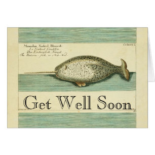 Narwhal Antique Baleine Aquarelle Art scientifique