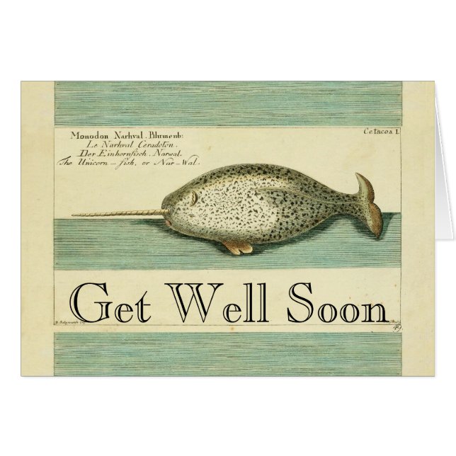 Narwhal Antique Baleine Aquarelle Art scientifique (Devant horizontal)