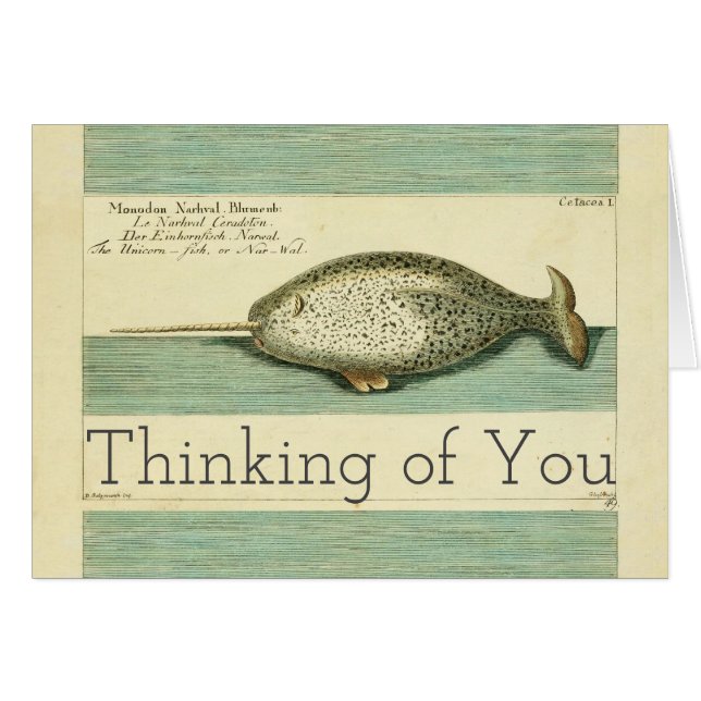 Narwhal Antique Baleine Aquarelle Art scientifique (Devant horizontal)