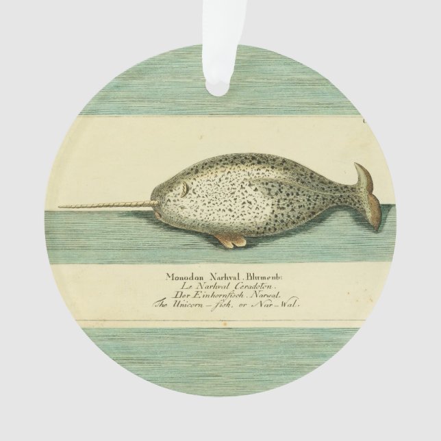 Narwhal Antique Baleine Aquarelle Art scientifique (devant)