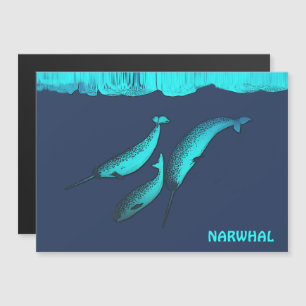 Narwhal Sous La Glace