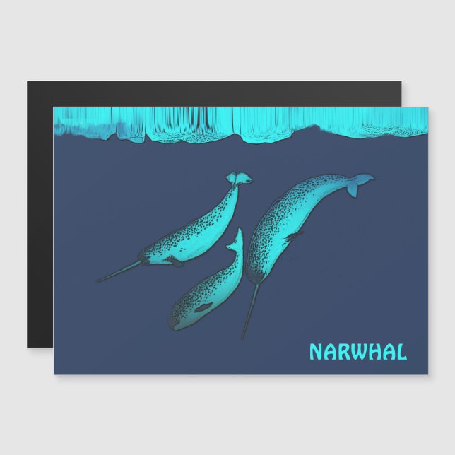 Narwhal Sous La Glace (Devant / Derrière)