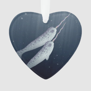 Narwhals mignon nageant ensemble sous l'eau