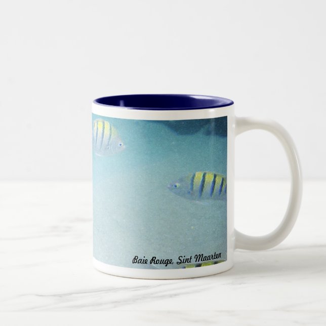 Natation avec la tasse de poissons (Droit)
