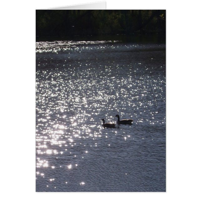 Natation dans la lumière (Devant)