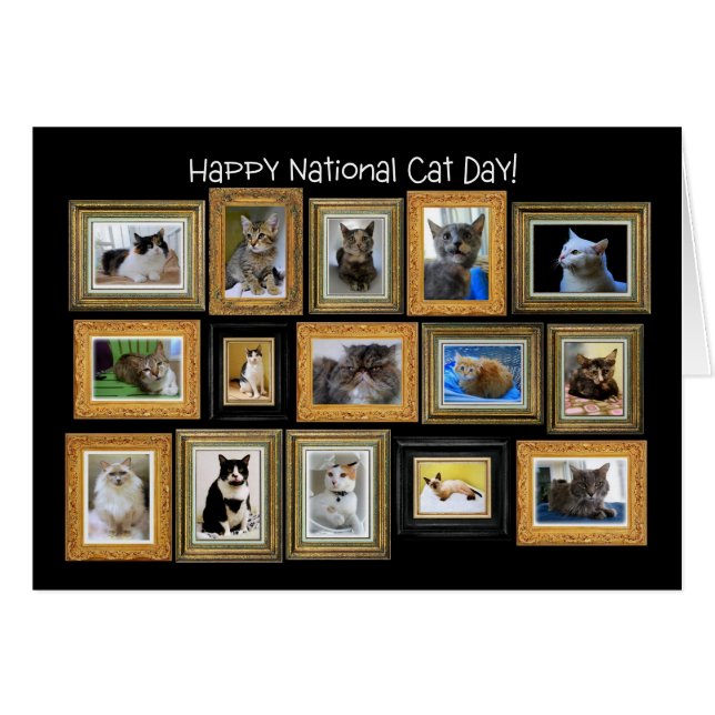 National Cat Day, Cat Portrait Gallery Carte (Devant horizontal)