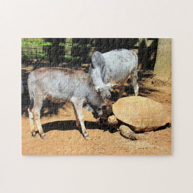 National Lick A Tortoise Day Puzzle (Horizontal)