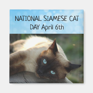 National Siamese Cat Day 6 avril Magnet