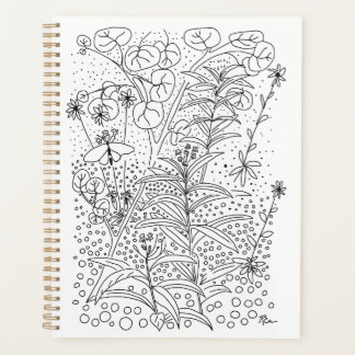 Native Florida Garden