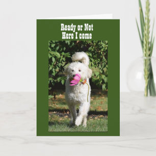 N'ATTENDEZ PAS DE CÉLÉBRER **NOTRE CARTE ANNIVERSA