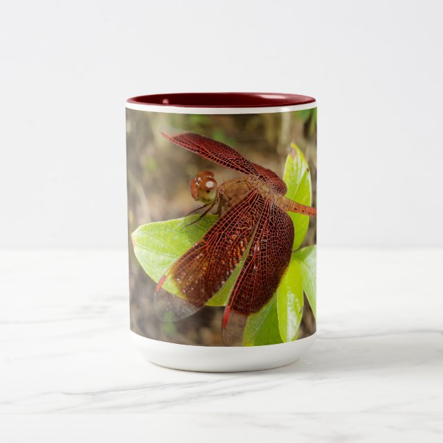 NaturCraze Mug de libellules rouges et noires (Centre)