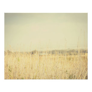 Nature Abstrait Minimaliste – Art Mural Apaisant