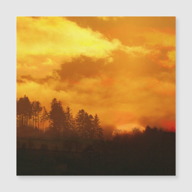 NATURE AU LEVANT DU SOLEIL (Devant)