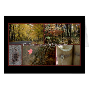 Nature Carte postale Northwoods Wisconsin Saison