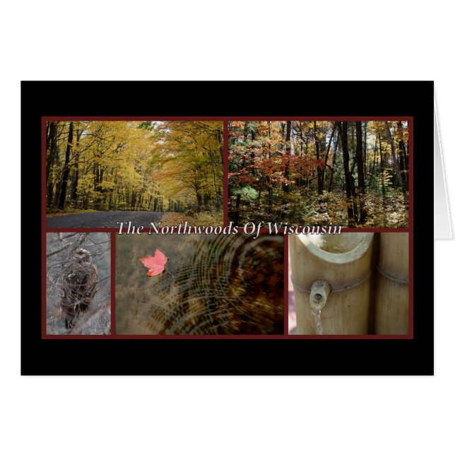 Nature Carte postale Northwoods Wisconsin Saison (Devant horizontal)