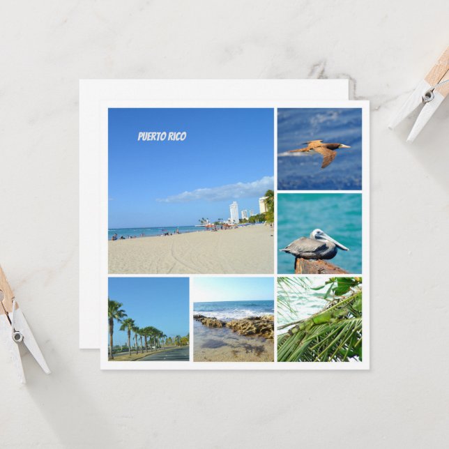 Nature collage of San Juan, Porto Rico (Devant/Arrière en situation)