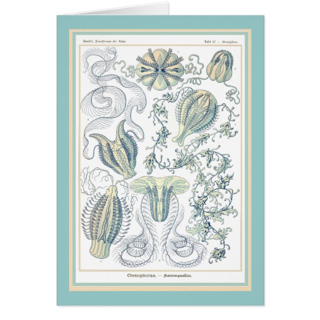 Nature de der d'Ernst Haeckel - de Kuntsformen - (Devant)