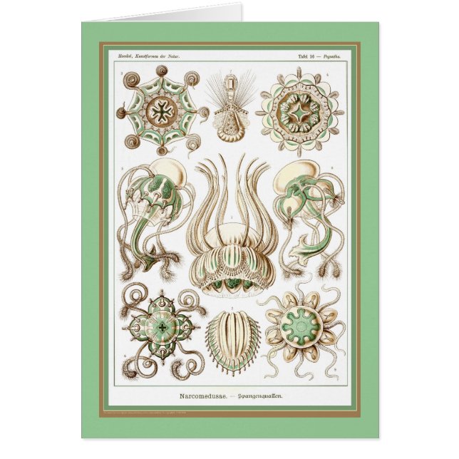 Nature de der d'Ernst Haeckel - de Kuntsformen - (Devant)