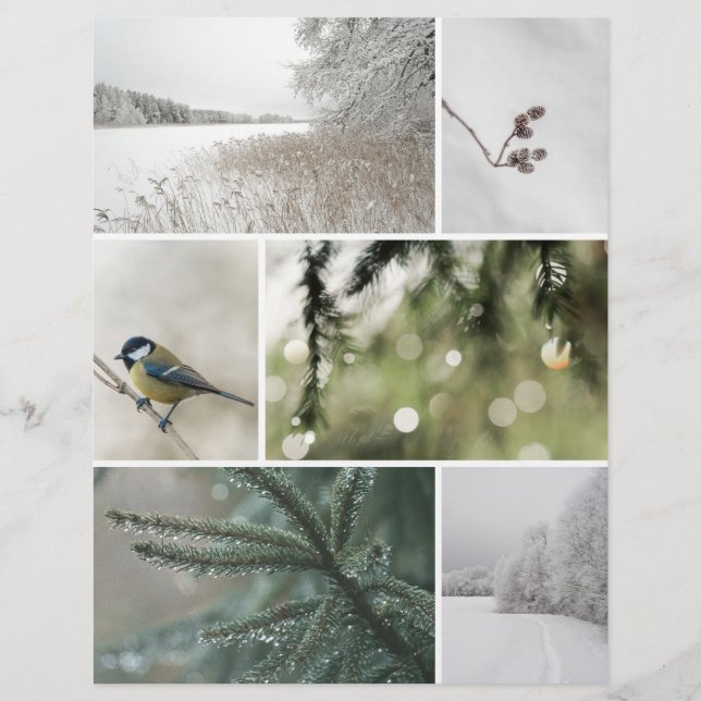 Nature hivernale : papier découpé pour scrapbook d (Devant)