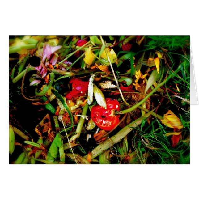 Nature Morte 18 (Devant horizontal)