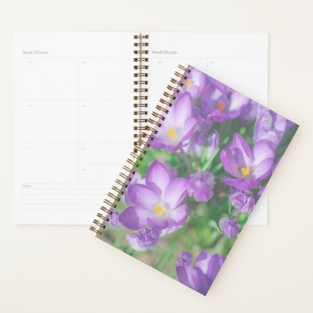 Nature Pale Purple Pastel Crocus Fleurs Florales (Devant avec enveloppe)