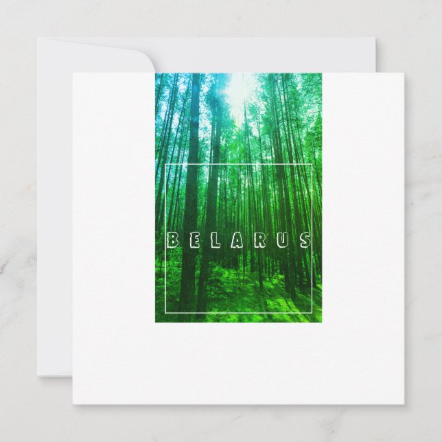 Nature Paysage Paysage Forêt Biélorussie Carte Pla (Devant)
