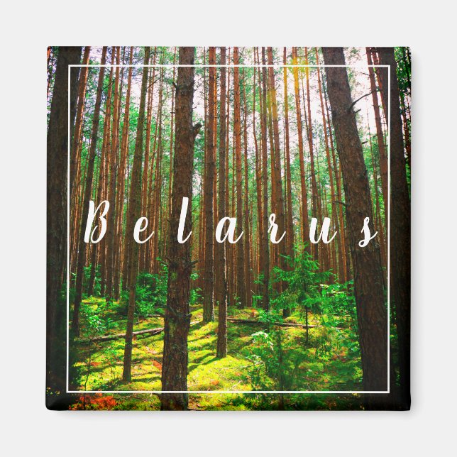 Nature Paysage Paysage Forêt Biélorussie Magnet (Devant)
