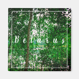 Nature Paysage Paysage Forêt Biélorussie Magnet