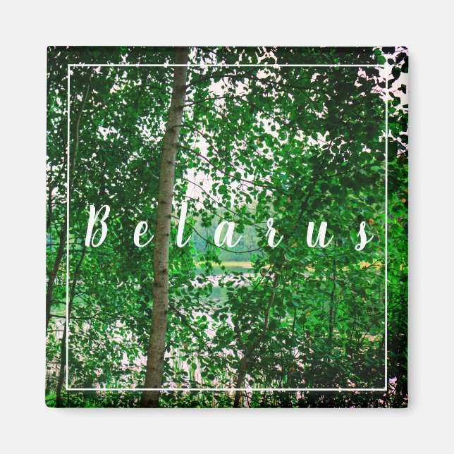 Nature Paysage Paysage Forêt Biélorussie Magnet (Devant)