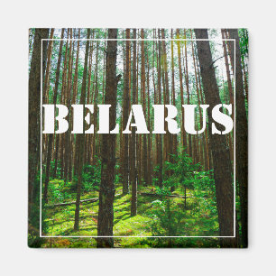 Nature Paysage Paysage Forêt Biélorussie Magnet