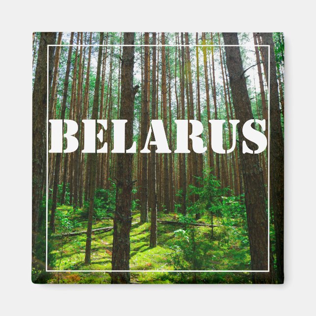 Nature Paysage Paysage Forêt Biélorussie Magnet (Devant)