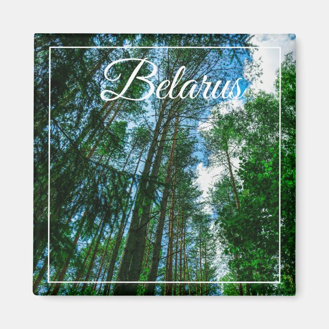 Nature Paysage Paysage Forêt Biélorussie Magnet (Devant)