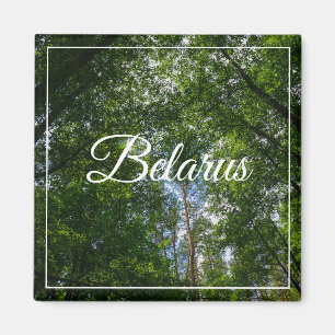 Nature Paysage Paysage Forêt Biélorussie Magnet