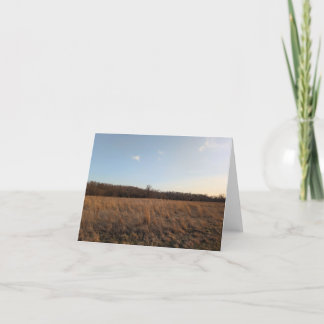 Nature’s Touch - Voeux et Carte de remerciements b