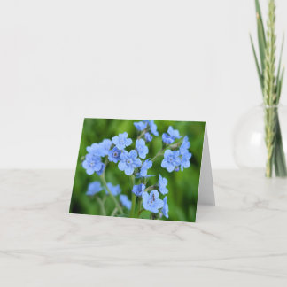 Nature’s Touch - Voeux et Carte de remerciements b