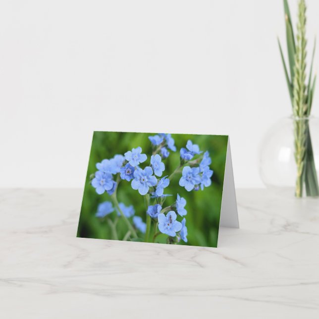 Nature’s Touch - Voeux et Carte de remerciements b (Devant)